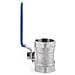 Dellacciaio Inossidabile Ss304 Valvola A Sfera Della Leva 1000 Psi Filetto Femmina 1 - Foto miniatura 2