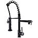 Miscelatore per lavello da cucina, Blackswan, tipo M111 con 2 modalità, nero opaco, 49 cm - Foto miniatura 1