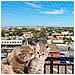 Cat Net Rete Sicurezza Balcone Gatti Ferplast Nylon Rsistente A Uv - Foto miniatura 2