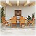 Set da Pranzo per Giardino 7 pcs Marrone - Foto miniatura 4
