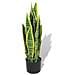 Sansevieria Pianta Artificiale Con Vaso 65 Cm Verde - Foto miniatura 1