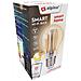 Lampadina Led Wi-fi Smart 2700k Luce Calda 470lm 4.9w E27, Dorato - Foto miniatura 2