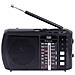 Radio Portatile Multibanda RA 7F20 BT con Bluetooth / Usb / Micro SD Colore Nero - Foto miniatura 1
