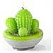 Kit Candele Fai Da Te - Cactus - Foto miniatura 1