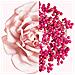 Irrésistible Eau De Toilette Fraiche, Spray - Profumo Donna - Foto miniatura 2