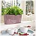 Delta 10 Auto Watering Planter Piccolo Fiore Vaso Da Fiori Coperta Planter Tabella Senza Drenaggio Foro Con Substrato Per Piante Poly Resina H13 L30 W11 Cm Antracite Metallizzato - Foto miniatura 4