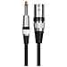 Cavo Microfono Xlr Femmina A 6.5mm Maschio - Collega Mixer, Amplificatori E Interfacce Audio  1,5 Milioni - Foto miniatura 1