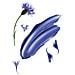 Shampoo Centaurea 400 ml - Foto miniatura 2