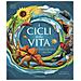 I Cicli Della Vita. Tutto Dall'inizio Alla Fine - Foto miniatura 2