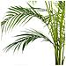 Pianta Artificiale In Vaso 120 Cm Areca Palm - Foto miniatura 6