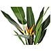 Pianta Artificiale In Vaso 115 Cm Strelitzia Tree - Foto miniatura 2