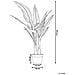 Pianta Artificiale In Vaso 115 Cm Strelitzia Tree - Foto miniatura 5