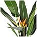 Pianta Artificiale In Vaso 115 Cm Strelitzia Tree - Foto miniatura 6