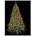 Luci Per Albero Di Natale Con 2500 Led Bianco Caldo Cavo Da 50 Metri Luci Natalizie Per Alberi Super Luminosi Uso Interno Ed Esterno - Foto miniatura 3