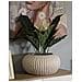 Vaso Decorativo Vkh829-beige-poliresina-35x35x18 Cm - Foto miniatura 6