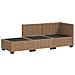 3 pz Set Lounge in Rattan con Cuscini GENDT Rattan naturale - Foto miniatura 4