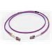 CAVO PATCH IN FIBRA OM4 LSZH LC /LC 1 M - VIOLA - Foto miniatura 1