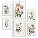 Set Di 6 Stampe Fiori Pastello Stampe Naturalistiche E Botaniche A Colori Con Motivi Floreali Su Sfondi Bianchi Puri A3 & A4 Cornice Bianca - Foto miniatura 1
