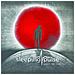Sleeping Pulse - Under The Same Sky - Foto miniatura 1