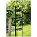 Arco Da Giardino 114x66x232 Cm In Acciaio Nero - Foto miniatura 7