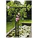 Arco Da Giardino 114x66x232 Cm In Acciaio Nero - Foto miniatura 8