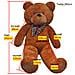 Orsacchiotto di Peluche Marrone 242 cm - Foto miniatura 2