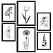 Set Di 6 Stampe Stampe Di Piccoli Fiori, Natura E Botanica Con Motivi Floreali In Un Classico Design D'interni In Bianco E Nero A3 & A4 Cornice Nera - Foto miniatura 1