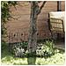 Recinzione per Giardino Traliccio Nero 307 x 54,5 x 0,3 cm - Foto miniatura 3