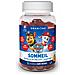 Paw Patrol Sleep 60 Gomme Da Cancellare Per Bambini Granioni Di Albicocca - Foto miniatura 1