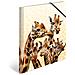 Giraffe Friends Polipropilene (pp) Multicolore A4 - Foto miniatura 1