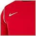 Maglia Y Nk Dry Park20 Bv6901-657 Bambino Taglia Xs Colore Rosso - Foto miniatura 2