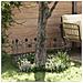 Recinzione per Giardino Traliccio Nero 305,5 x 55,5 x 0,3 cm - Foto miniatura 3