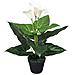 Calla Lily Artificiale Con Vaso 45 Cm Bianca - Foto miniatura 1