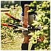 Potatore A Cricchetto Powergear X - 1020186 - Foto miniatura 4
