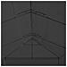 Gazebo Con Tende 600x298x270 Cm Antracite - Foto miniatura 2