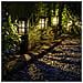 Lampada Solare Intelligente Da Giardino A Led Polaris 20 Lm - Foto miniatura 4