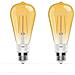 Smart Led Filament Bulb St64 Yldp23yl - Foto miniatura 1
