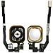 Tasto Home Con Connettore Integrato Per Apple Iphone 5s / Se - Bianco - Foto miniatura 8