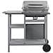 47394 barbecue per l'aperto e bistecchiera Kettle Gas naturale Acciaio inox 5500 W - Foto miniatura 7