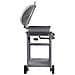 47394 barbecue per l'aperto e bistecchiera Kettle Gas naturale Acciaio inox 5500 W - Foto miniatura 4