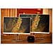 USB-C / A Universal Dock G2 - Docking station - USB-C - HDMI, 2 x DP  - Foto miniatura 7