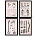 Set Di 4 Stampe Poster Di Anatomia Umana Colonna Vertebrale Mani E Mascella Illustrazioni Di Biologia E Medicina In Vintage E Senza Cornice A4 - Foto miniatura 1