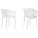 Sedia Da Pranzo Plastica Bianca Dallas - Foto miniatura 6
