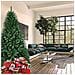 Albero Di Natale 150 Cm Pino Cuore D'oro Verde Folto 375 Rami Base A Croce Ferro - Foto miniatura 3