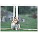 Recinto Esterno Per Animali Domestici Vario Legno Marrone 84399 - Foto miniatura 2