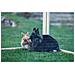 Recinto Esterno Per Animali Domestici Vario Legno Marrone 84399 - Foto miniatura 4