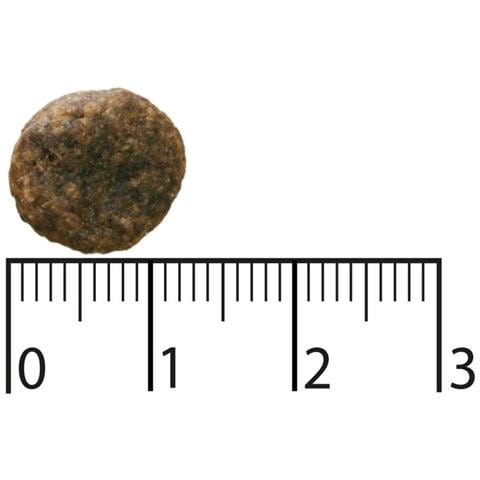 9117385 cibo secco per cani 11 kg Adulto Agnello - Foto 2
