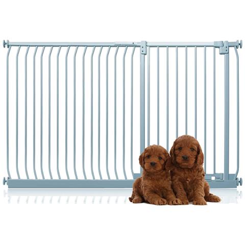 Bettacare Cancelletto Per Cani Elite Extra Alto, 171cm - 180cm, Grigio Opaco, Extra Alto Con 100cm Di Altezza - Foto 1
