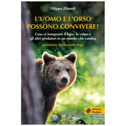 Filippo Zibordi - L'uomo E L'orso Possono Convivere? Cosa Ci Insegnano Il Lupo, La Volpe E Gli Altri Predatori In Un Mondo Che Cambia - Foto 1