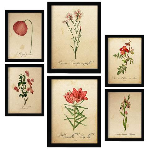 Set Di 6 Stampe Fiori Rossi Stampe Naturalistiche E Botaniche A Colori Con Motivi Floreali In Stile Cartaceo Vintage Per Interni A3 & A4 Senza Cornice - Foto 1